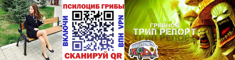 Купить закладки  Наволоки  Галлюциногенные грибы MAGIC MUSHROOMS 